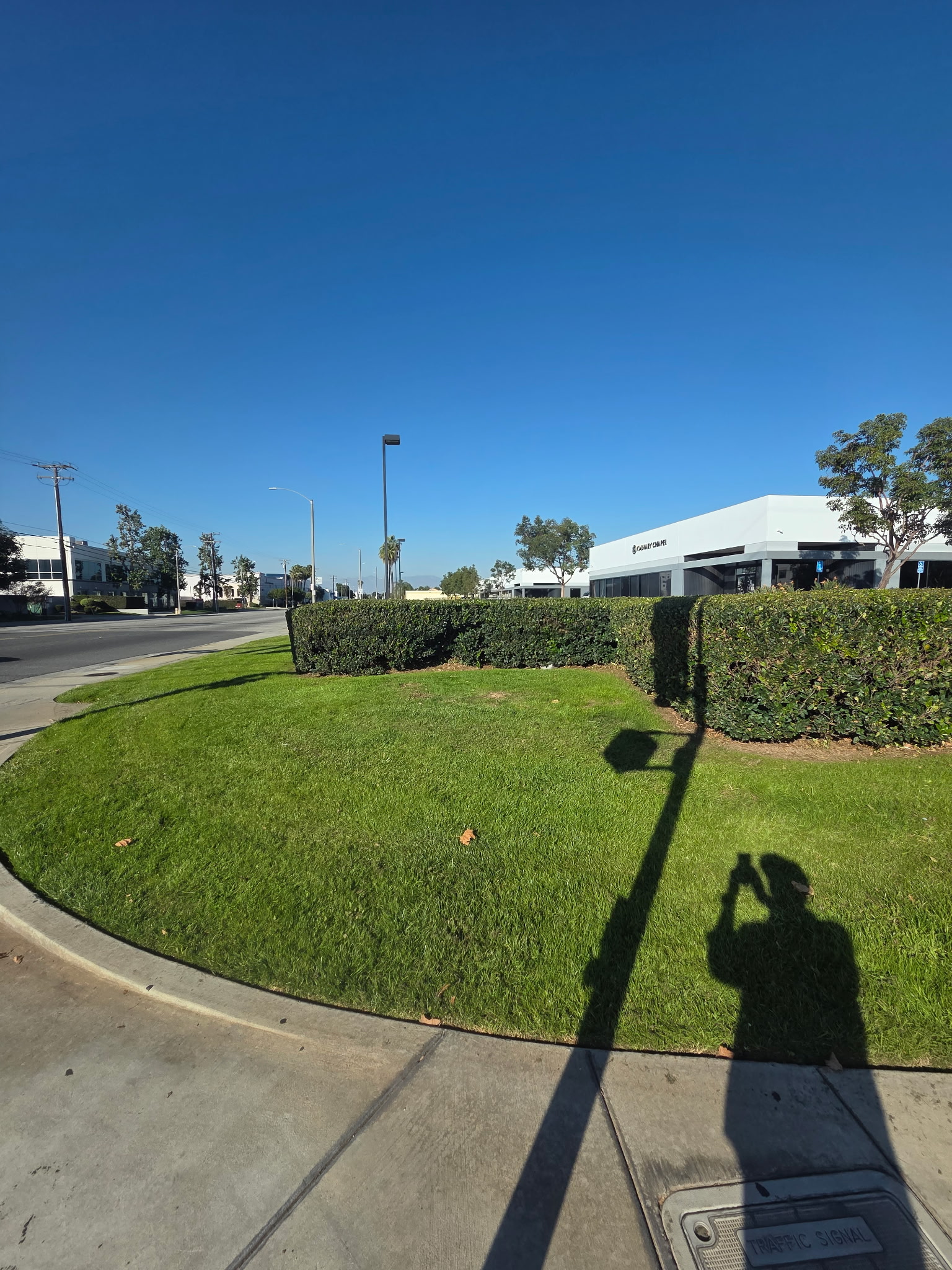 Commercial landscaping